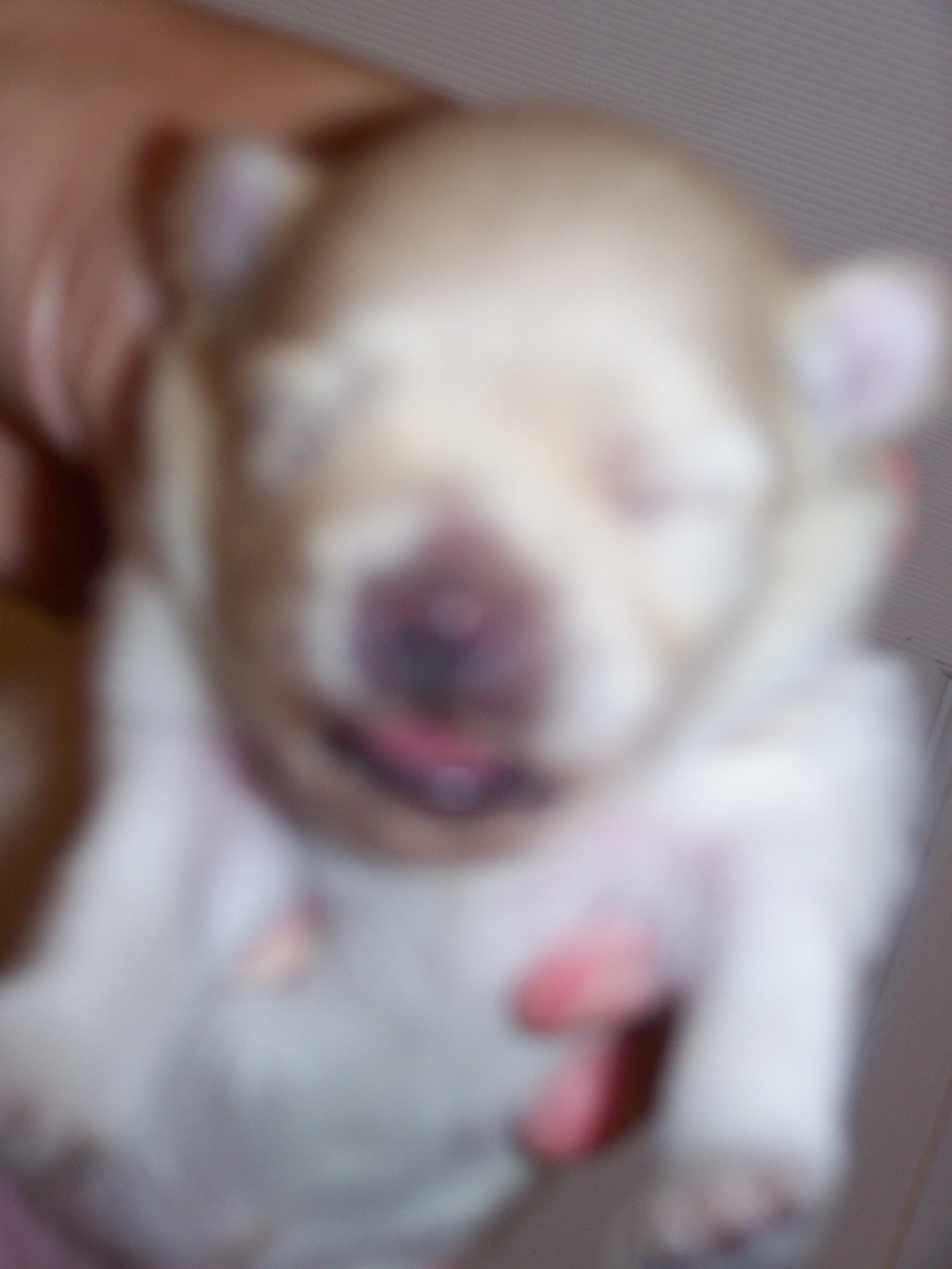 babie002.jpg