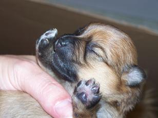 babies005.jpg
