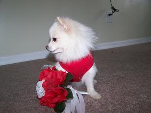 babswedding003.jpg